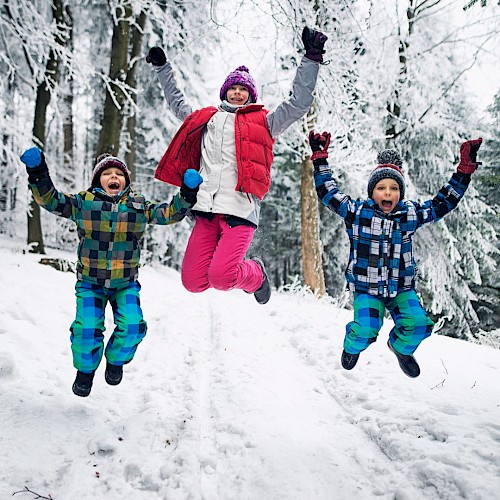 Three people jumping joyfully in a snowy forest, dressed in colorful winter clothing and surrounded by snow-covered trees.
