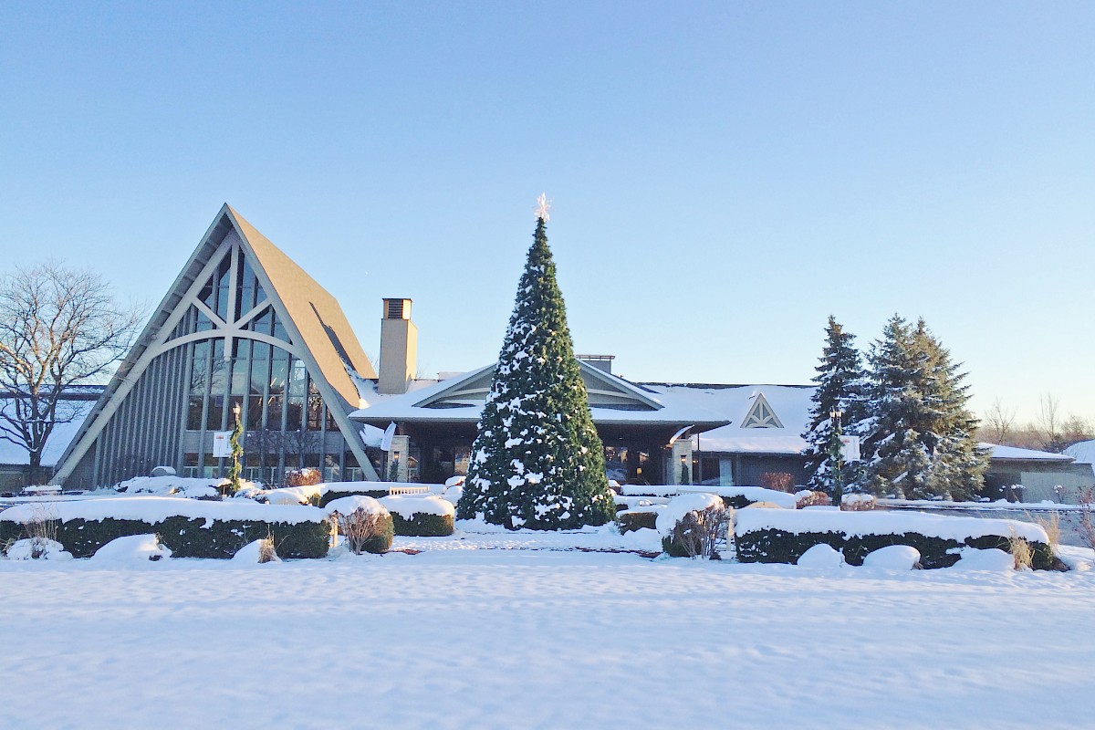 A snow-covered building with a large, decorated Christmas tree outside, surrounded by snowy bushes and trees under a clear blue sky.