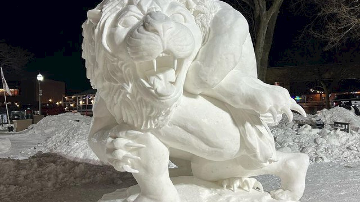 This image shows a detailed snow sculpture of a fierce, roaring lion holding a sword, with two flags in the background and snow all around.
