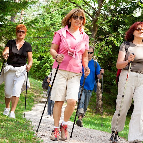 A group of women and a man hiking outdoors on a trail surrounded by trees and lush greenery.