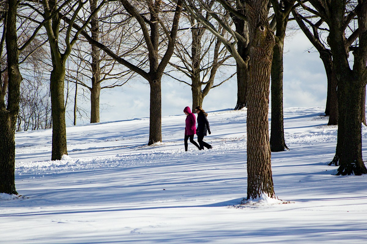Two women walk through a snow-covered park with tall leafless trees on a cloudy winter day.