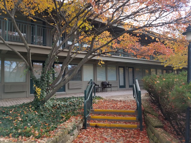 The image shows a building entrance with steps, surrounded by autumn foliage, trees, and greenery. A bench is visible near the building.