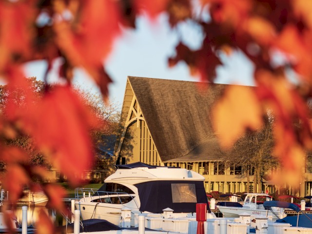 The image shows a marina with docked boats, framed by autumn leaves, and a rustic building with a slanted roof in the background.