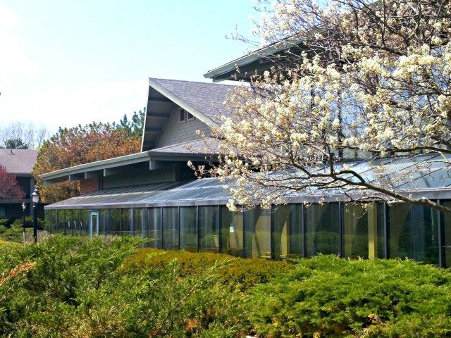 A modern building with extensive glass windows is surrounded by greenery and flowering trees under a blue sky.