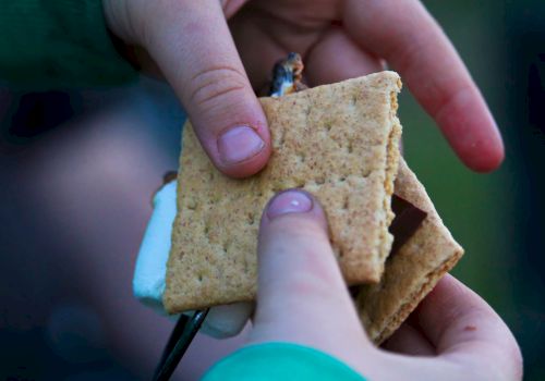 Two hands are assembling a s'more with graham crackers, melted chocolate, and a toasted marshmallow. 
