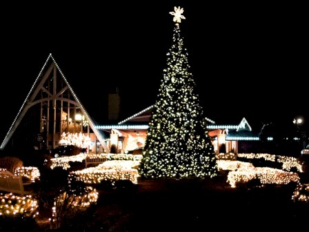A large Christmas tree adorned with lights stands surrounded by glowing decorations and a lit-up structure, set against a night sky.