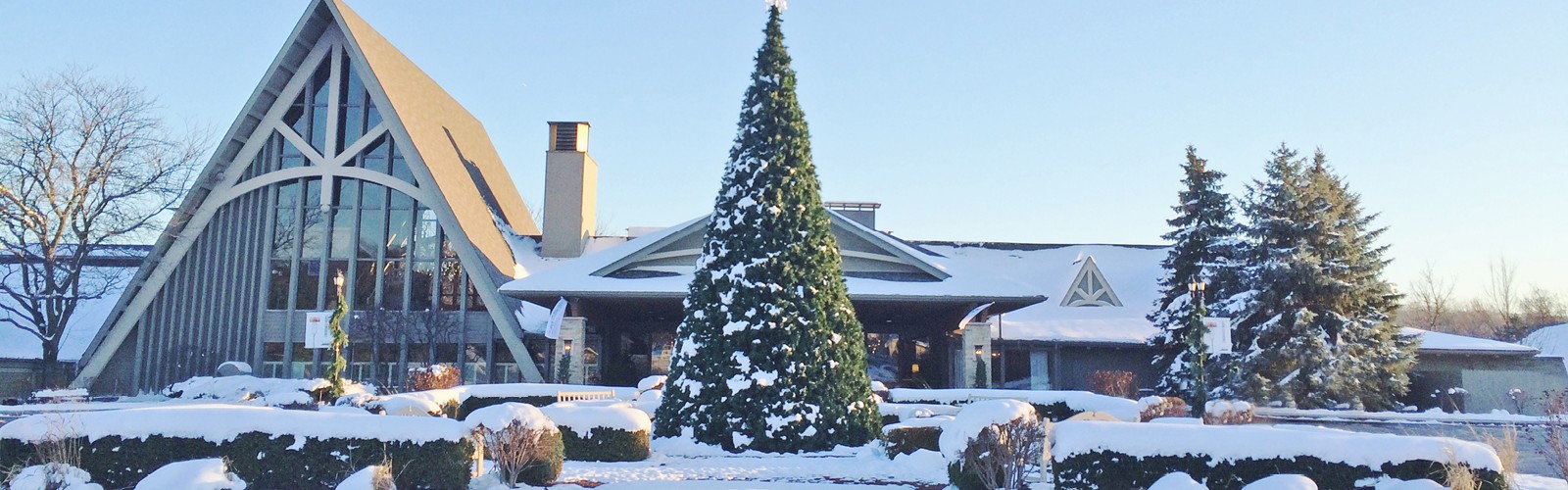 A snowy landscape featuring a triangular-roofed building with a large Christmas tree and evergreen trees in front.