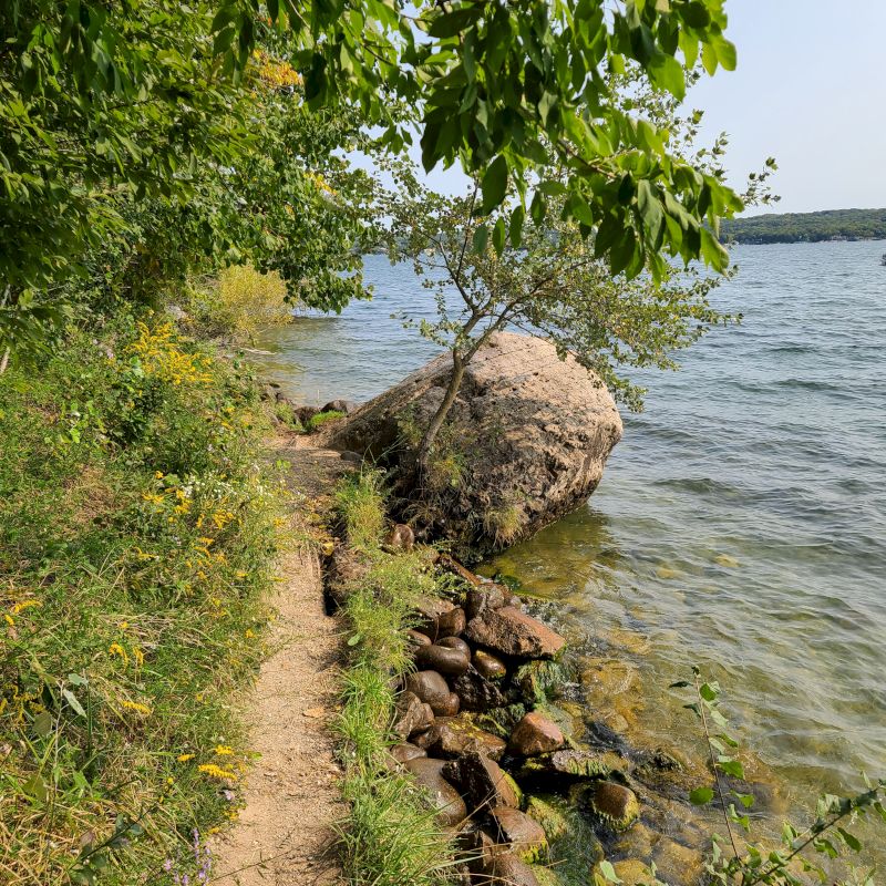 A lakeside scene with a rocky shore, clear water, a path, and green foliage. A tree grows from a large rock near the shoreline, ending the sentence.
