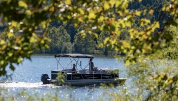 A boat is cruising on a lake, framed by green foliage in the foreground, with a backdrop of trees and nature reflecting in the water.