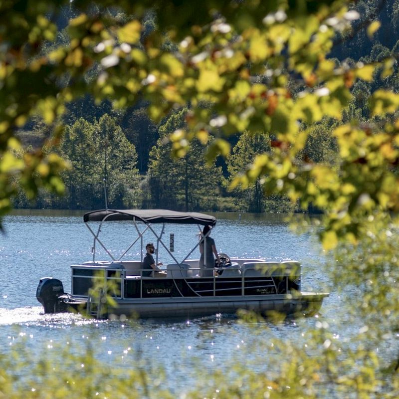A pontoon boat cruises on a scenic lake, framed by green foliage, with a forested hillside visible in the background.