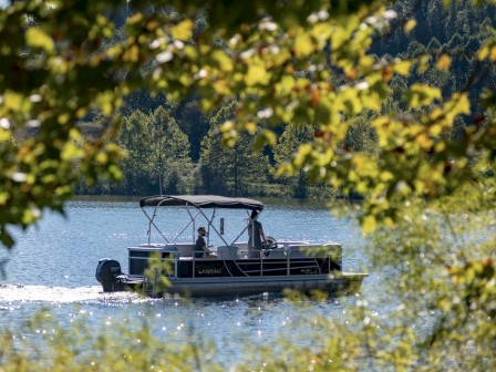 A boat with a canopy is on a lake, surrounded by lush green trees, with two people on board, seen through foliage in the foreground, ending the sentence.