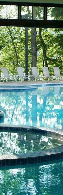 It's an indoor pool area with large windows overlooking a forest. The pool has a connected hot tub and lounge chairs are visible outside.