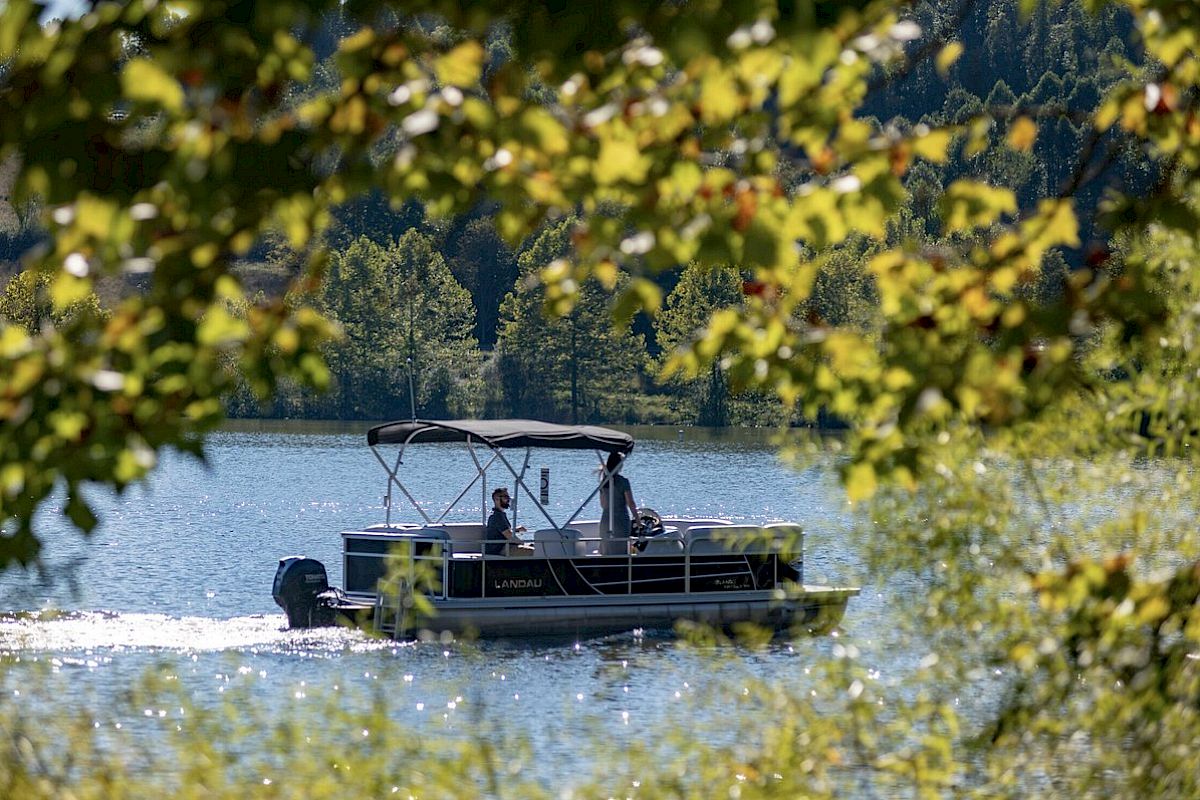 A boat cruising on a lake surrounded by trees, with the photo taken through a leafy frame from the shore.